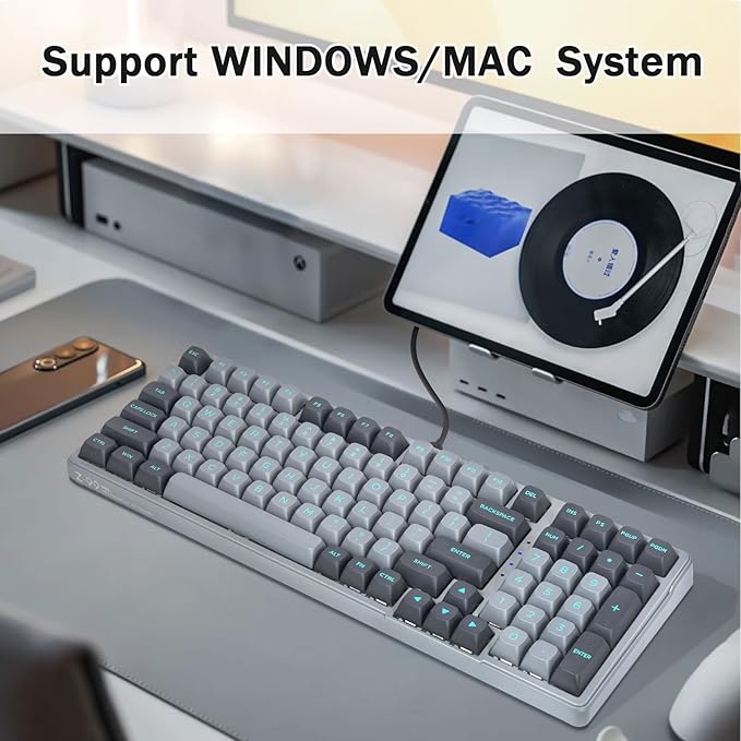 Wired Mechanical Gaming Keyboard, Creamy Sound, Pre-lubed Linear Switches, Gasket Structure with Sound Dampening Foam, Green LED Backlit RGB Side Light, 99 Keys Custom Keyboard for PC,Gray/Black