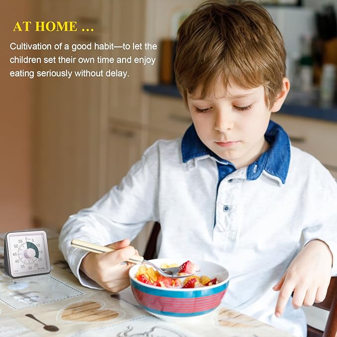 Secura 60-Minute Visual Countdown Timer for Kids & Adults, Classroom Time Management Tool (Gray & Dark Gray)