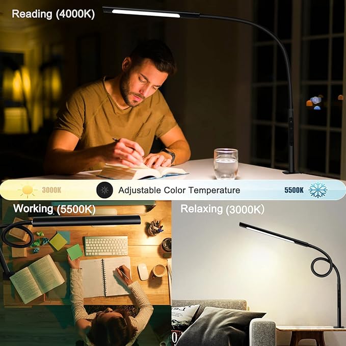 Swing Arm Lamp, 12W Eye-Care Flexible Gooseneck Desk Lamp, Stepless Dimming and Adjustable Color Temperature Modern LED Clamp Light with Memory Function