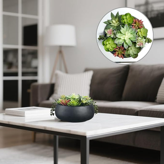 Artificial Succulent Plants Fake Potted Indoor with Ceramic Pot - Home Office, Bedroom, Bathroom Decor - Low Maintenance Desk Plants for Coffee Table & Room Aesthetics(Black)