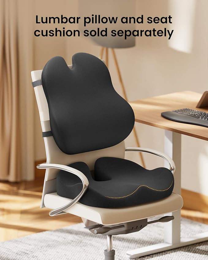 ProtoArc Lumbar Support Pillow for Office Chair, Memory Foam Back Support Pillow for Lower Back, Lumbar Cushion Desk Chair Back Cushion, Ergonomic Back Rest for Chair, Car, Home - Black