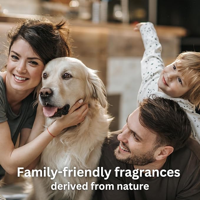 Mink Noir Essential Oils for Diffusers for Home, Nature-derived Vanilla Essential Oil, Long-Lasting & Family-Friendly Diffuser Oils Scents, IFRA Certified, Cold Air & Ultrasonic - 16 oz