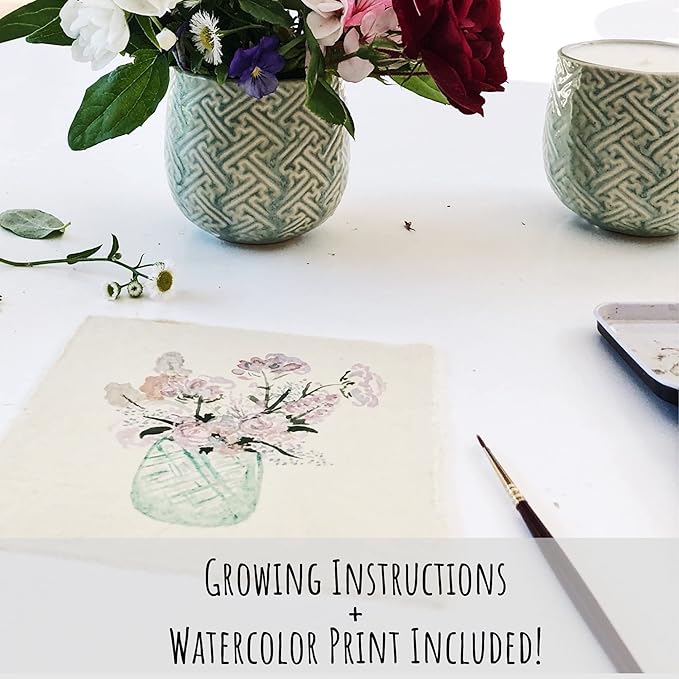 The Growing Candle, Mint & Eucalyptus Scented, 10oz Ceramic Pot, Aromatherapy Candles, 100% Soy, Ida