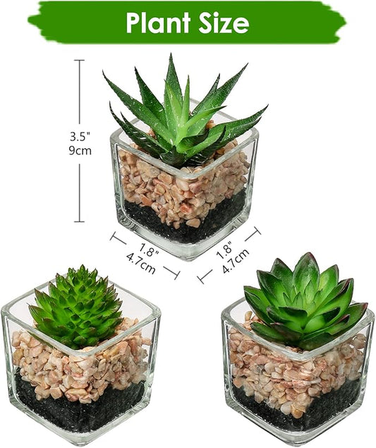 Briful Set of 3 Succulents Plants Artificial in Glass Pots Small Fake Succulents Plants Faux Plants Indoor for Home Office Table Desk Shelf Room Decor