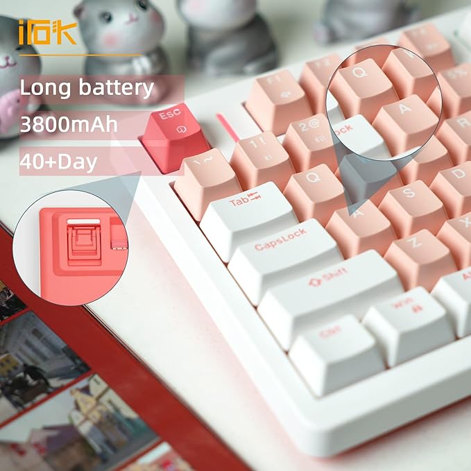 IROK FE75Pro Wireless RGB Hot Swappable Mechanical Keyboard, Three-Layer Dampening 81 Keys Gaming Keyboard, Customizable Backlit, USB-C/2.4GHz/Bluetooth- White/Red