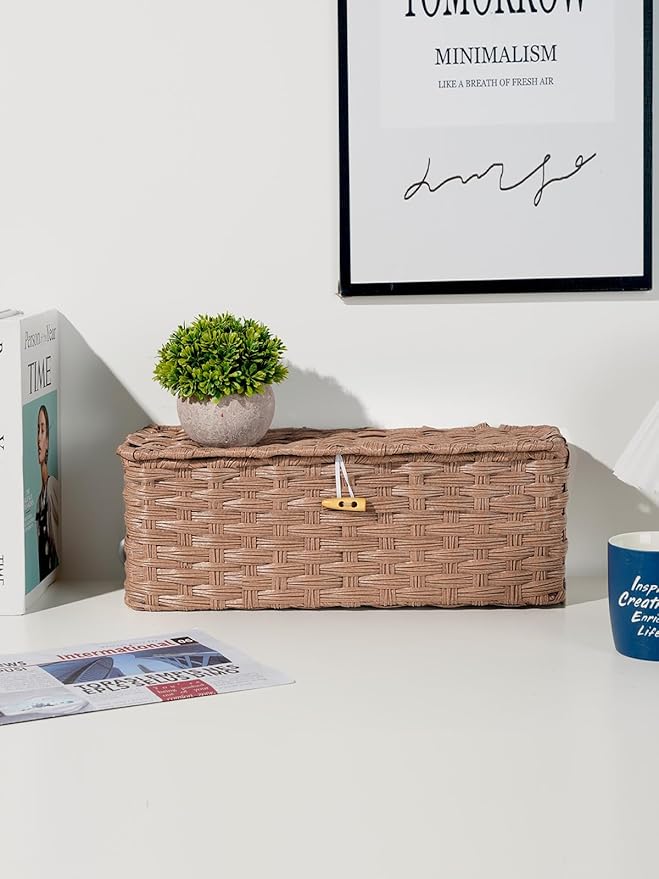 Temary Cable Management Box with Lids, 2-Pack Handmade Cable Organizer Boxes for Home, Office to Hide Cords and Power Strip, Cord Cover Floor Hider Set Woven Rattan Cable Organizer Box (Brown)