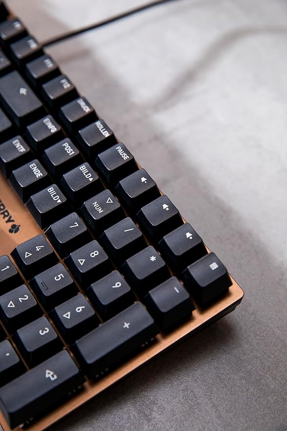 Cherry KC 200 MX Mechanical Office Keyboard with New MX2A switches. Modern Design with Metal Plate Frame. (Bronze W/MX2A Brown Switch)