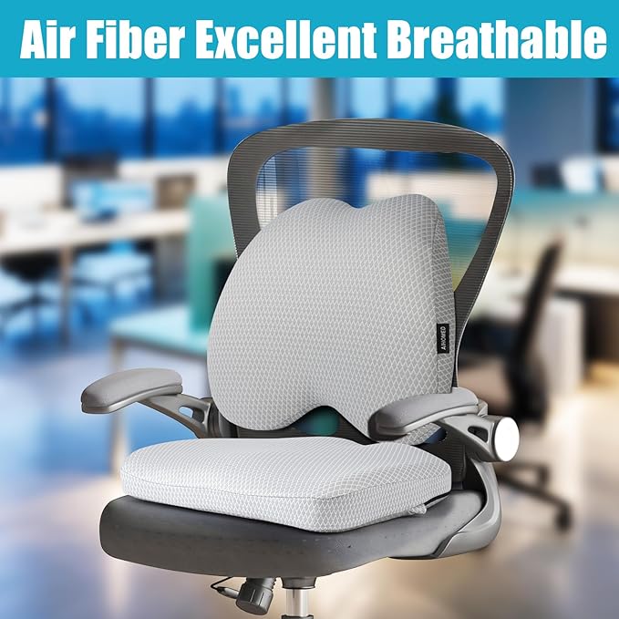 Lumbar Support Pillow Office Chair Car Back Pillow, Ergonomic Lower Back Pain Relief Breathable Air Fiber Cushion for Long Sitting Worker Driver & Handicapped, Adjustable Strap (Light Grey)