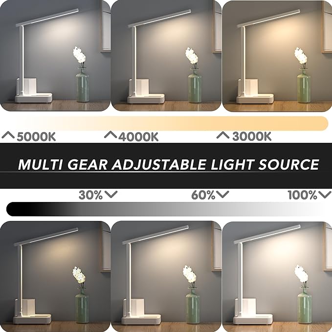 COZOO Dimmable Desk Table Lamp with Pen Holder/Organizer,Study LED Desk Lamp with USB Charging Port/Type C Port/Outlets/Storage Box/Touch,Kids Desk Reading Light for Students,Desk Lamp for Home Office