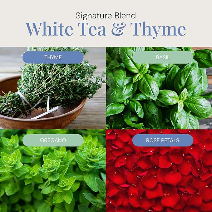 White Tea & Thyme Aroma Oil, Essential Oils Blend for Diffusers & Scent Machines, Rose Petals, Thyme & Balsam, Aromatherapy, Cold Air Diffuser Compatible, 300 mL