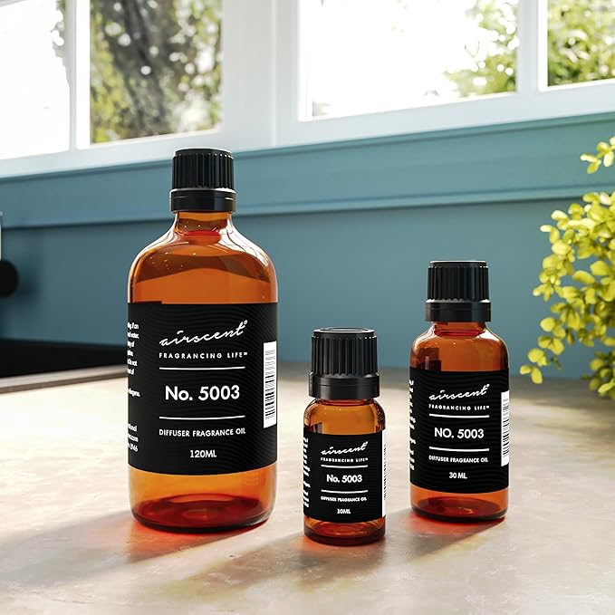 AirScent Coco-Inspired Diffuser Oil - No. 5003 Perfume Dupe - Premium Fragrance Oil Blend for Ultrasonic and Waterless Diffusers and Crafting - 10 ml, 0.34 fl oz Glass Bottle with Dropper