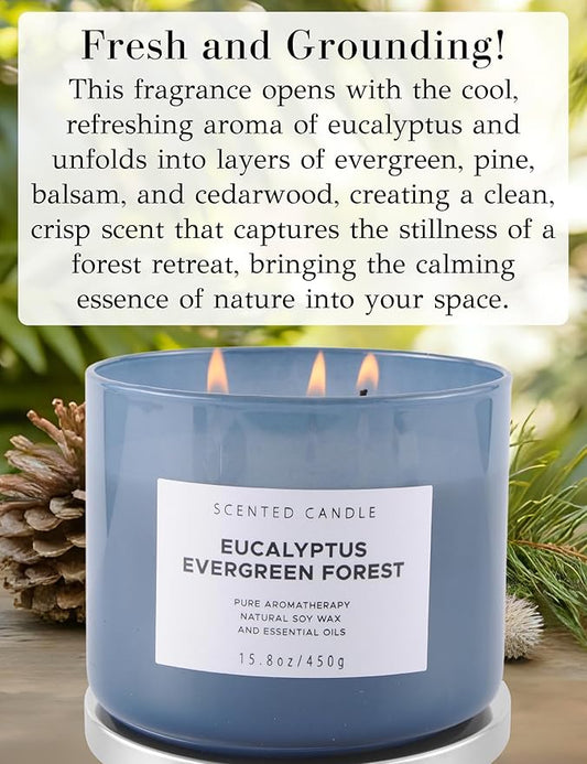Eucalyptus Evergreen Forest 3 Wick Scented Candle | Luxury Soy Candles for Home | Relaxing Aromatherapy Stress Relief Candle 15.8 oz | Clean Burn Long Lasting Balsam Fir Woods Candles for Men & Women