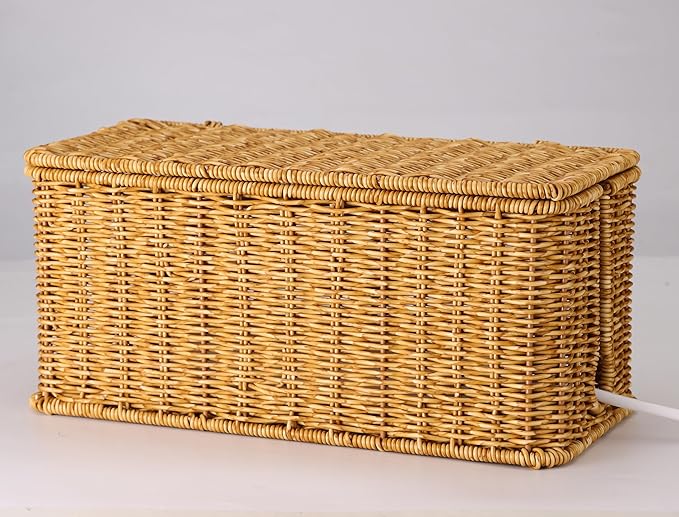 2Pack Large Cable Management Box, Handwoven Imitation Rattan Cord Organizer Cord Hider Box, Desk Wire Management to Hide Cords and Power Strips, Natural