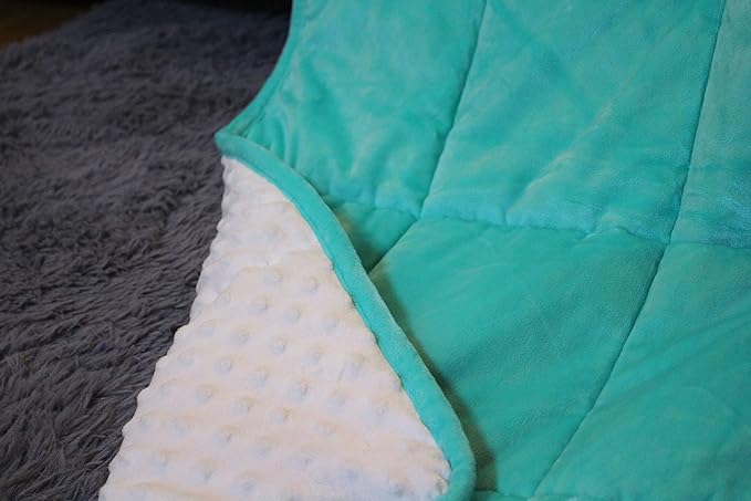 ALANSMA Reversible Weighted Blanket for All Season, Luxury Velvet, Warm and Cool, Adult 7Lb Green Weighted Blanket, Enjoy Sleeping Anywheret (Light Green, 40''x60'' 7lbs)