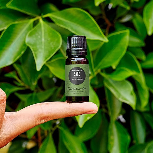 Edens Garden Sage- Dalmation Essential Oil- 100% Pure Premium Grade, Undiluted, Natural, Therapeutic, Aromatherapy, The Best for Diffuser, Candle, Laundry, Humidifiers 30 ml (1 fl oz)
