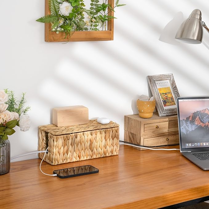 StorageWorks Cable Management Box, 2 Slots Wicker Cable Organizer to Hide Cords and Power Strip, Water Hyacinth Cord Hider Box for Home & Office