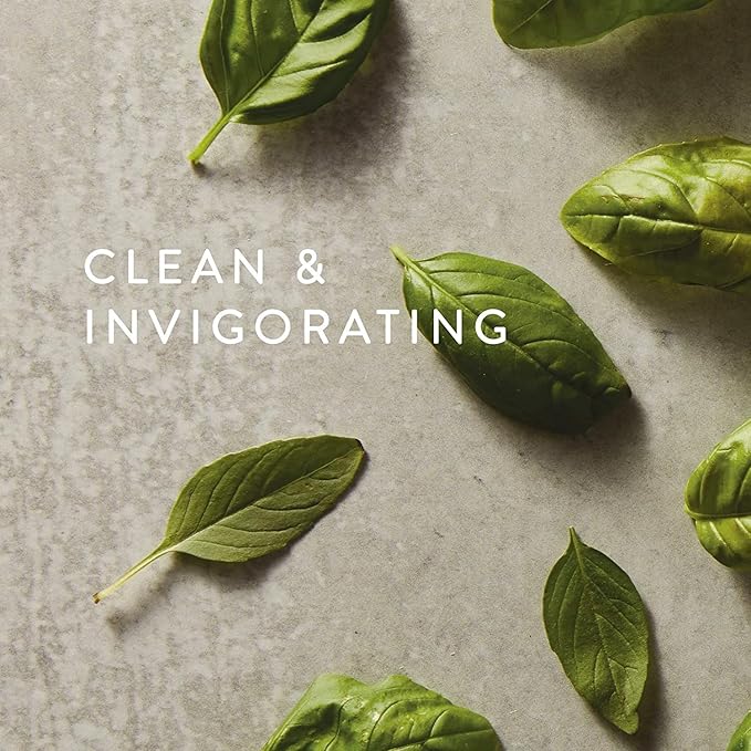 Thymes Reed Diffuser Oil - Fresh-Cut Basil - 7.75 Fl Oz