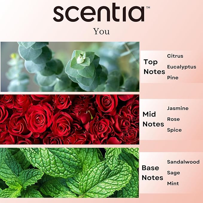 Fierce-Inspired Diffuser Oil - Scentia You Fragrance Oil Perfume Dupe - 20mL, 0.67 Fl oz Diffusers and Humidifiers - A and F Inspired Essential Scented Oil - Best for Aromatherapy, Mothers Day Gift