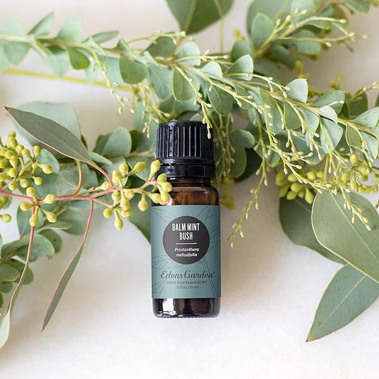 Edens Garden Balm Mint Bush Essential Oil- 100% Pure Premium Grade, Undiluted, Natural, Therapeutic, Aromatherapy, The Best for Diffuser, Skin, Laundry, Humidifiers 10 ml (.33 fl oz)