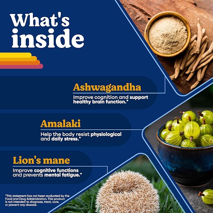 Focus Sugar Free Dietary Supplement Drink Mix with Ashwagandha, Lion’s Mane, B Vitamins B1 B2 B3 B5 B6 B12, for Cognitive Performance & Clarity BlackBerry, 21 Day Supply