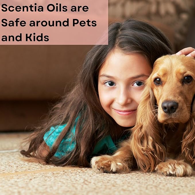 Gingerbread Bliss Fragrance Oil – 50ml Holiday Diffuser Oil | Warm Christmas Blend with Ginger, Nutmeg, Cinnamon & Vanilla | Perfect Stocking Stuffer, DIY Candles & Soaps