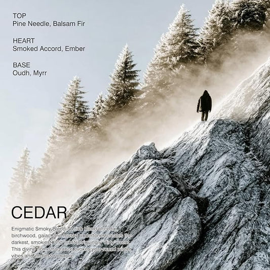 Scented Candle by LUNAAURA | Cedar Aromatherapy Candle for Meditation & Yoga | Long-Lasting 65 Hour Burn Time | Natural Soy Blend Wax & 100% Cotton Wick (10.6 oz)