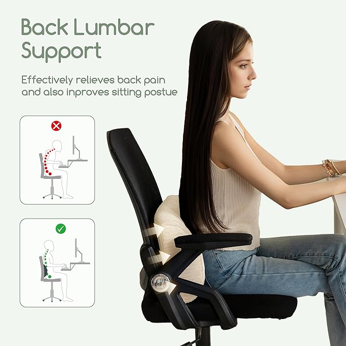 HIGOGOGO Lumbar Support Pillow for Recliner Chair/Accent Chair/Couch, Memory Foam Back Support Cushion for Elderly, Recliner Cushions for Back Rest, Pain Relief, Reading, Washable Cover, Beige