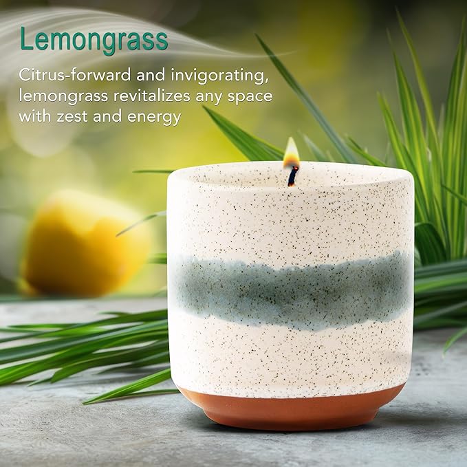 The Growing Candle, Lemongrass Scented, 8.5oz Ceramic Pot, Single Wick Aromatherapy Candles, 100% Soy for Women and Men, Edith