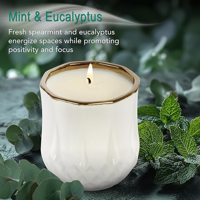 The Growing Candle, Mint & Eucalyptus Scented, 9oz Ceramic Pot, Aromatherapy Candles, 100% Soy, Astrid