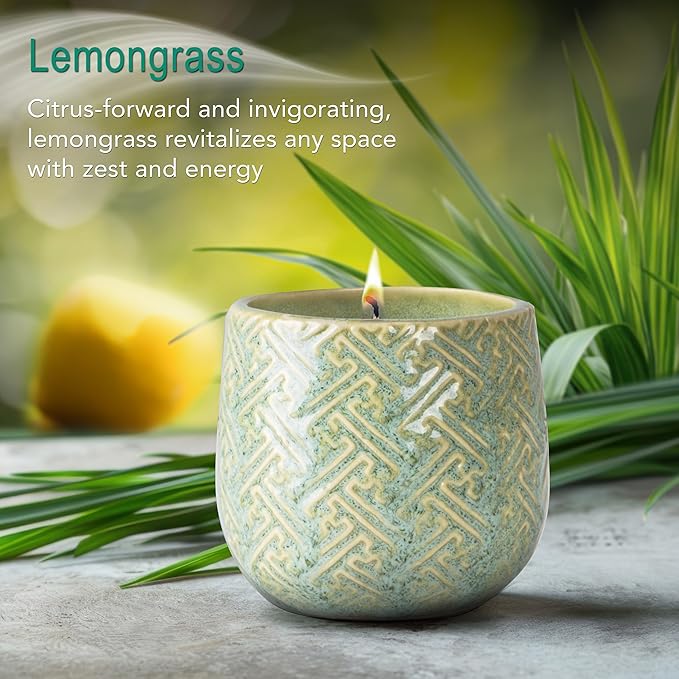 The Growing Candle, Lemongrass Scented, 10oz Ceramic Pot, Single Wick Aromatherapy Candles, 100% Soy for Women and Men, Ida
