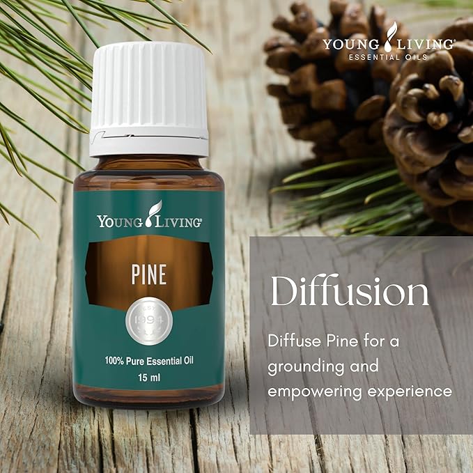 Young Living Pine Essential Oil | 15 ml | Fresh, Woodsy Aroma for DIY Cleaning, Aromatherapy Diffusion, Massage, Meditation, Topical Use (Dilution Required)