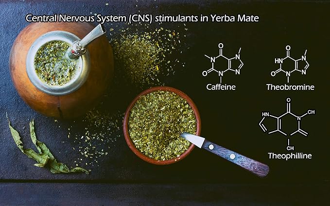 Yerba Mate Tea 1LB (16Oz) HI-CAFFEINE 100% CERTIFIED Organic SUPER-GREEN Yerba Mate | NO Dust | FRESH - NEVER Aged (Ilex Paraguariensis) | Brazilian Rain Forest Grown from U.S. Wellness Naturals