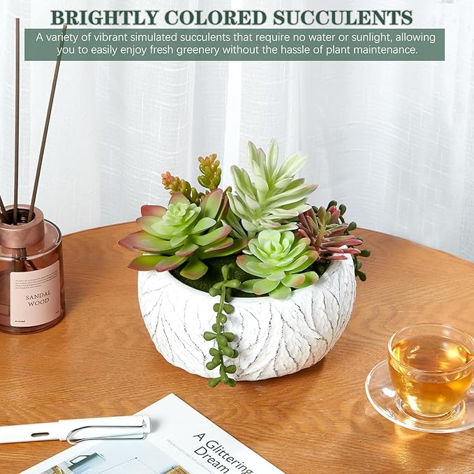 Artificial Succulent Plants Fake Potted Indoor with Ceramic Pot - Home Office, Bedroom, Bathroom Decor - Low Maintenance Desk Plants for Coffee Table & Room Aesthetics