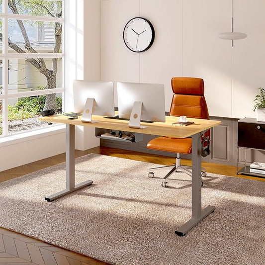 FLEXISPOT EN2 Whole-Piece Standing Desk with Clamp Power Strip, 48 x 24'' Electric Stand Up Height Adjustable Desk with Cable Management (Gray Frame + 48" Maple Desktop, 2 Packages)