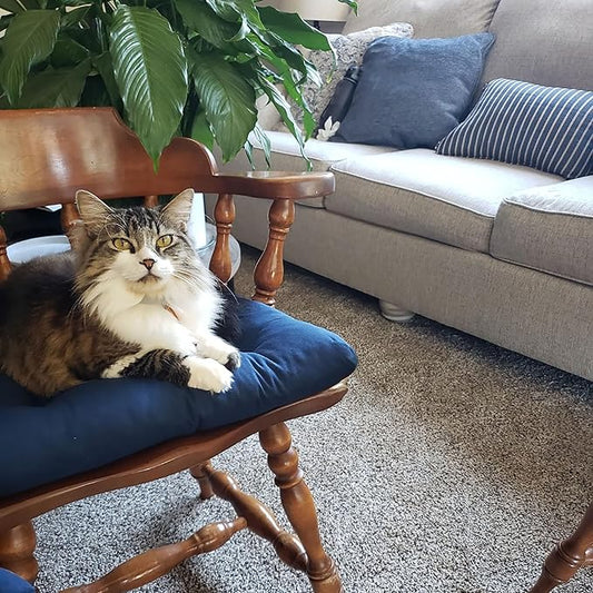 Barnett Home Decor Dining Chair Cushions with Ties – Size Small 15 x 17 - Latex Foam Fill, 100% Cotton, Machine Washable Chair Pads for Kitchen Chairs, Made in USA (Cotton Duck Navy Blue/Pack of 2)