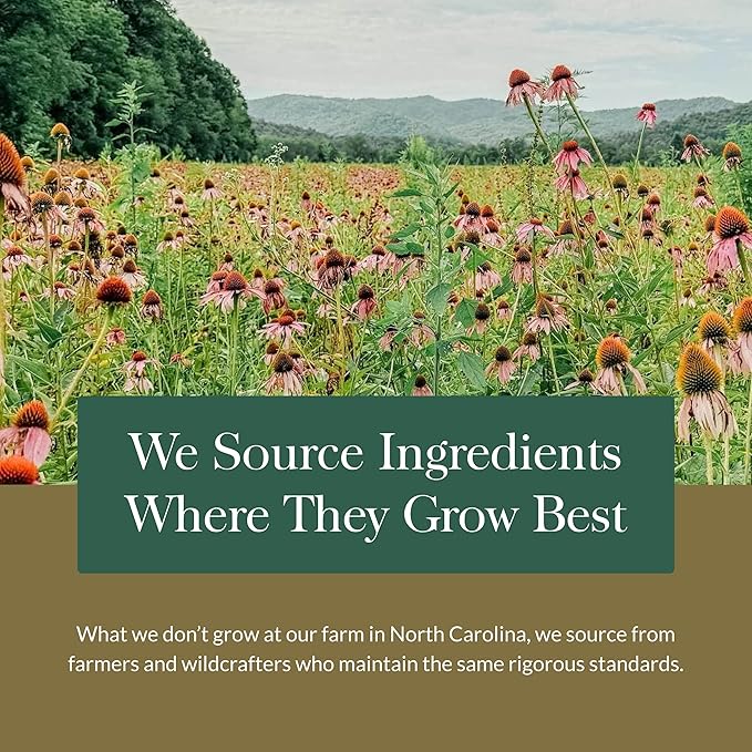 Gaia Herbs Lion’s Mane Mushroom - Brain & Nerve Health Support - 120 Vegan Capsules