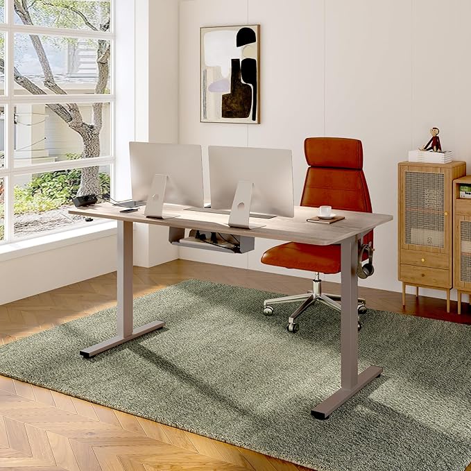 FLEXISPOT EN2 Whole-Piece Standing Desk with Clamp Power Strip, 48 x 30 Electric Stand Up Height Adjustable Desk with Cable Management (Gray Frame + 48" Gray Wood Grain Desktop, 2 Packages)