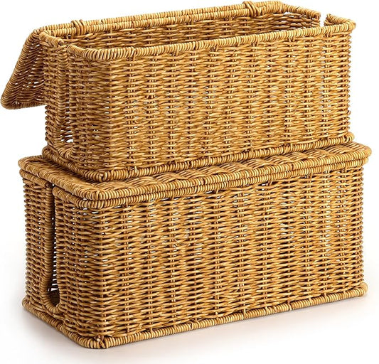 2Pack Large Cable Management Box, Handwoven Imitation Rattan Cord Organizer Cord Hider Box, Desk Wire Management to Hide Cords and Power Strips, Natural