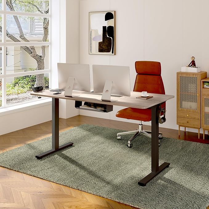 FLEXISPOT EN2 Whole-Piece Standing Desk with Clamp Power Strip, 48 x 30 Electric Stand Up Height Adjustable Desk with Cable Management (Black Frame + 48" Gray Wood Grain Desktop, 2 Packages)