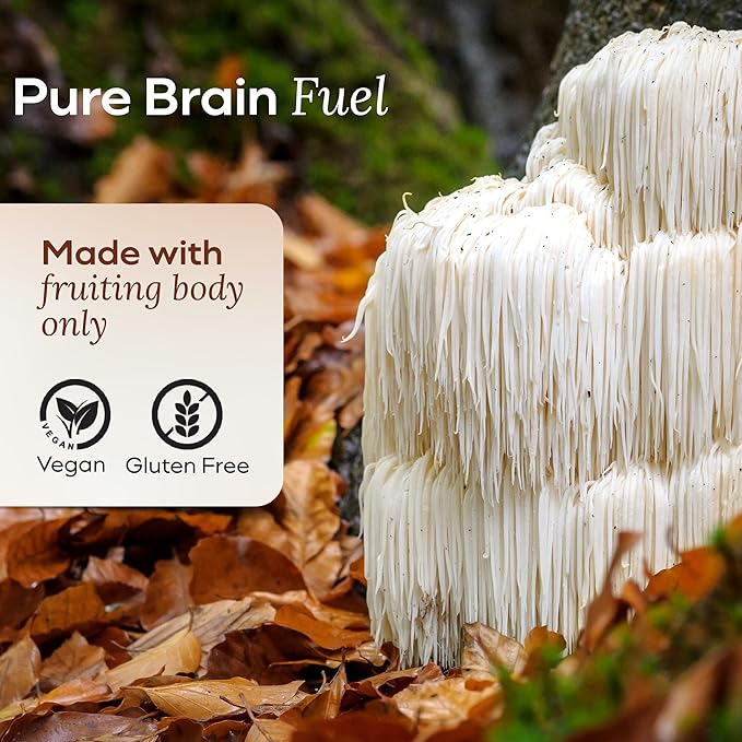 Lions Mane Mushroom Gummies for Focus and Memory - 500mg Fruiting Body Extract - Cognitive Support and Brain Health Supplements for Adults and Kids - Vegan, Gluten-Free - Canyon Cooler - 30 Servings