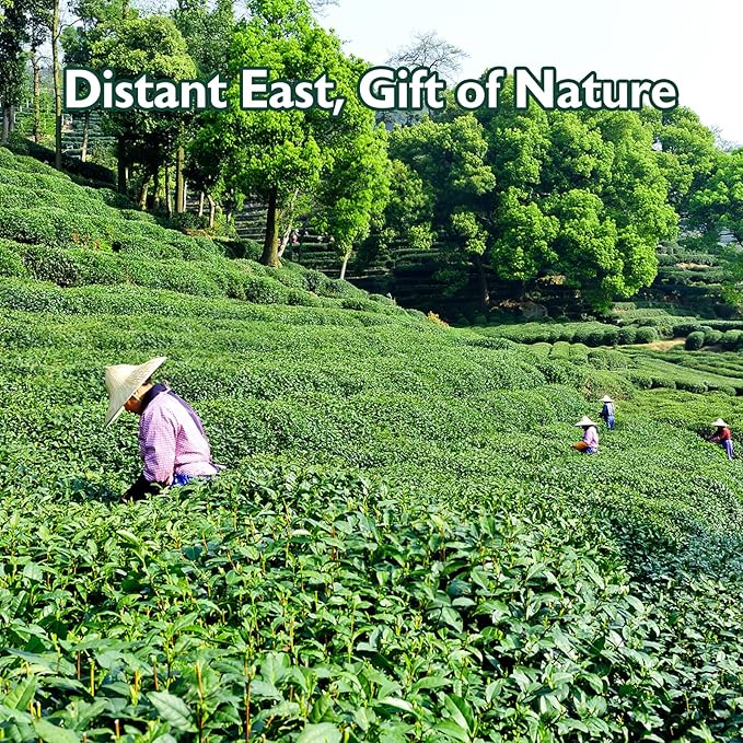 Eastsign Matcha Ceremonial Grade USDA Organic,Green Tea Powder 16oz, Premium USDA Organic Gluten Free Vegan and No Sugar,Suitable for Hot or Cold Drinks,Baking and Other Purposes(16oz)