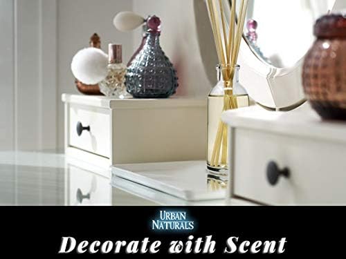 Urban Naturals Coconut Breeze Reed Diffuser Oil Set with Reed Sticks – Warm Coconut, Pineapple and Tahitian Vanilla - Made in The USA