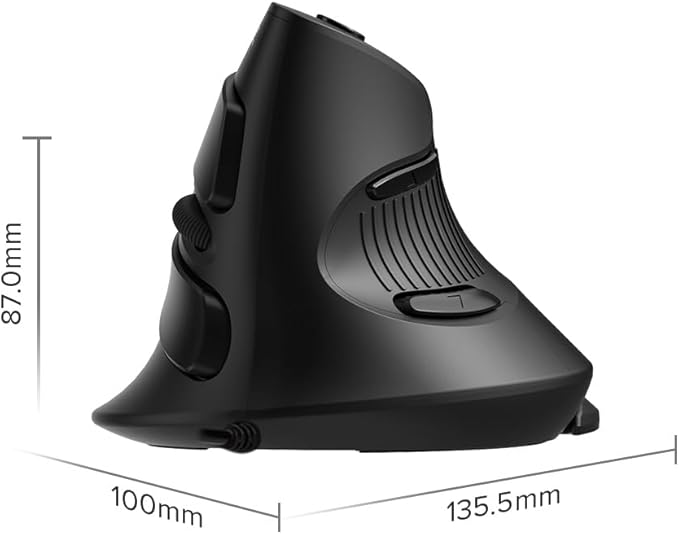 DeLUX Wired Vertical Ergonomic Mouse, with 6 Programmable Buttons, 4200DPI, Removable Palm Rest, Reduces Wrist Pain and Carpal Tunnel for Medium Hands (M618XU-Black)