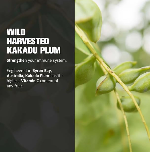 Life Cykel - Chaga Mushroom Extract with Kakadu Plum - Double Extracted Mushroom Tincture - Non-GMO Immune Support Supplement for Adults and Kids - 1 Fl Oz