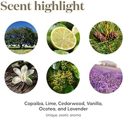 Young Living Stress Away Essential Oil Blend – 100% Pure, Vanilla-Lime Aroma, Diffuser & Topical Use, 5ml