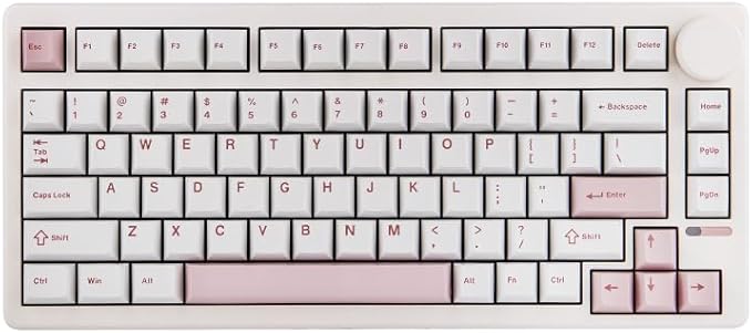 EPOMAKER QK81 75% Wireless Mechanical Gaming Keyboard, QMK/VIA Programmable and Hot-Swappable, 81 Keys with Metal Knob, 2.4Ghz/BT/USB, Creamy Gasket-Mount, RGB Backlight (White, Flamingo Switch)