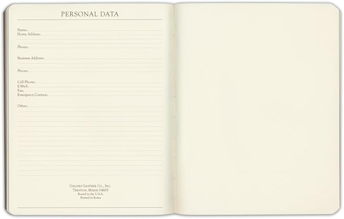 Gallery Leather Journal Notebook - 192 Pages, Softcover, For Men and Women, For Writing, Work & Travel, Handcrafted - Caribbean Aqua - 9.75 x 7.5, Large Lined