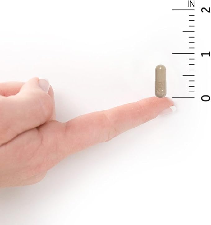 Garden of Life Vitamin Code Whole Food Multivitamin for Men - 120 Capsules, Vitamins for Men, Fruit & Veggie Blend and Probiotics for Energy, Heart, Prostate Health, Vegetarian Mens Multivitamins