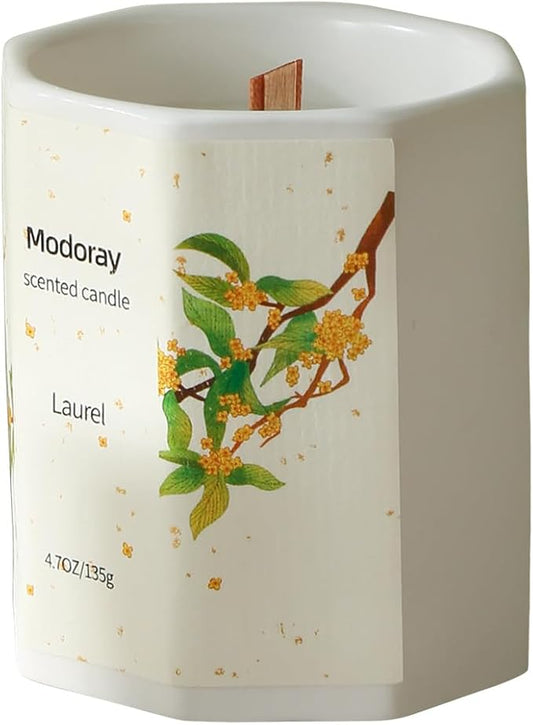 Scented Candles - Long Lasting Natural Soy and Wood Wick Aromatherapy Candles for Home
