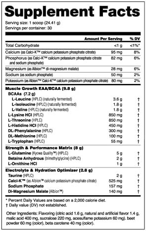 NutraBio Intra Blast Bcaa Powder Amino Acid Supplement, Electrolyte & Hydration Blend, Intra, Pre Workout & Muscle Recovery, 20g Eaa Amino Acids Powder, 5g Glutamine- New York Punch, 30 Serving